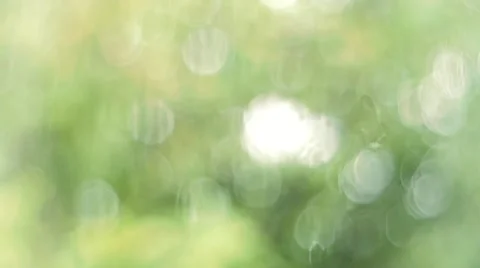 De focused of rain drops on window and trees bokeh blur background Stock Footage 51440739