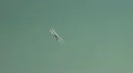 De Havilland DH 84 airshow flight demonstration HD Footage