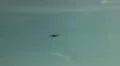 De Havilland DH 84 airshow flight demonstration HD Footage
