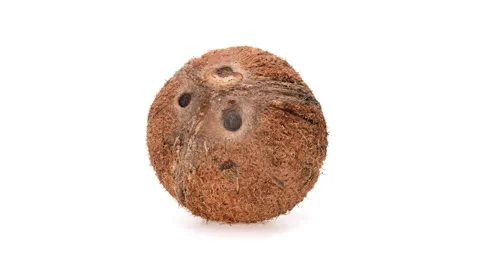 De-husked coconut fruit is rotating on white background. Stock Footage 166230249