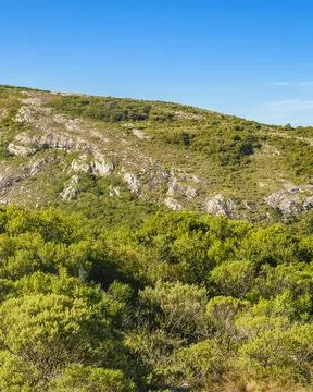 De LAs Animas Mountain Range, Uruguay Stock Photos