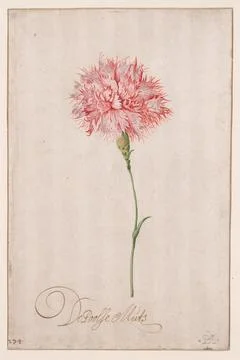 De Poolse Muts, c. 1620-30. Balthasar van der Ast (Dutch, 1593/94-1657). Br.. Stock Illustration