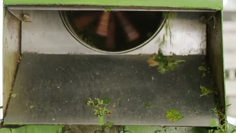 De-Seeding Grapes Machinery Wine making Process Vídeos de archivo 140503236
