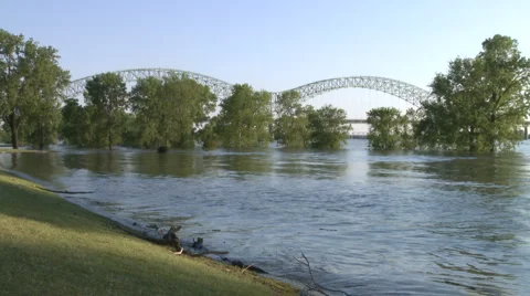 De soto bridge 1 Video stock 4957852