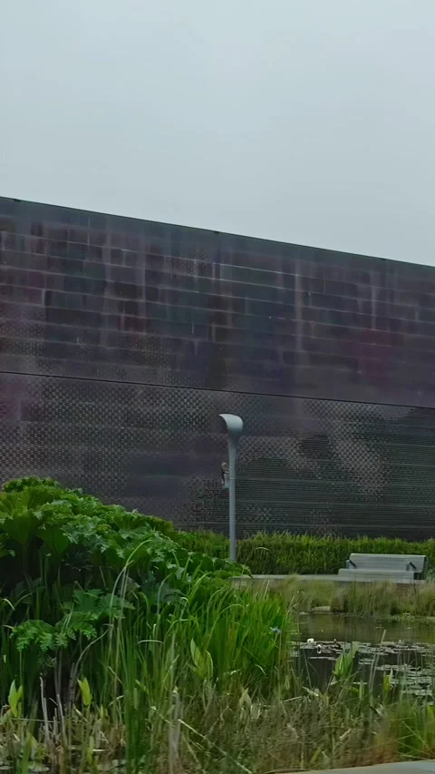 De Young Museum in Golden Gate Park, San Francisco, USA Stock Footage 311793619
