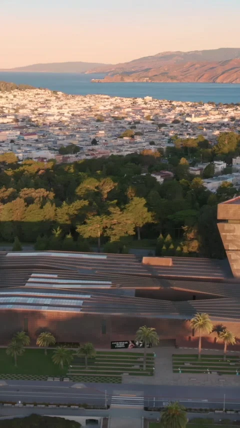 De Young Museum in Golden Gate Park. San Francisco, USA Stock Footage 313853538