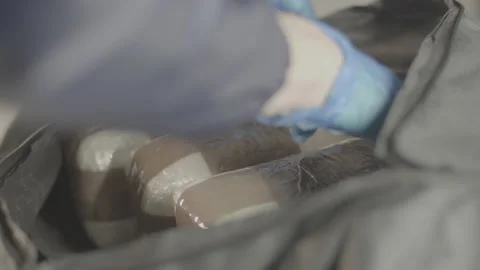 DEA Agent opening bag containing cocaine Stock Footage 144815390