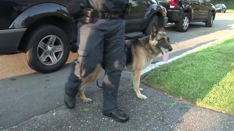 DEA agents raid a house to confiscate prescription drugs and make arrests. Video stock 74800664