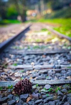 Deactivated train tracks Foto stock