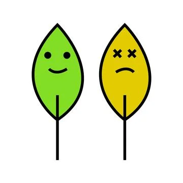 Dead and alive leaf Stock Illustration