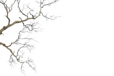 Dead and dry tree Stock Illustration