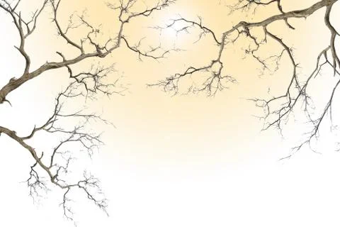 Dead and dry tree Stock Illustration