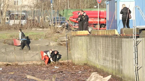 Dead animal Stock Footage 22846105