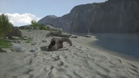 A dead animal laying on a beach next to a body of water Stock Footage 270015473