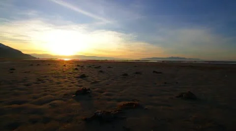 Dead Birds on Beach Stock-Footage 10816913