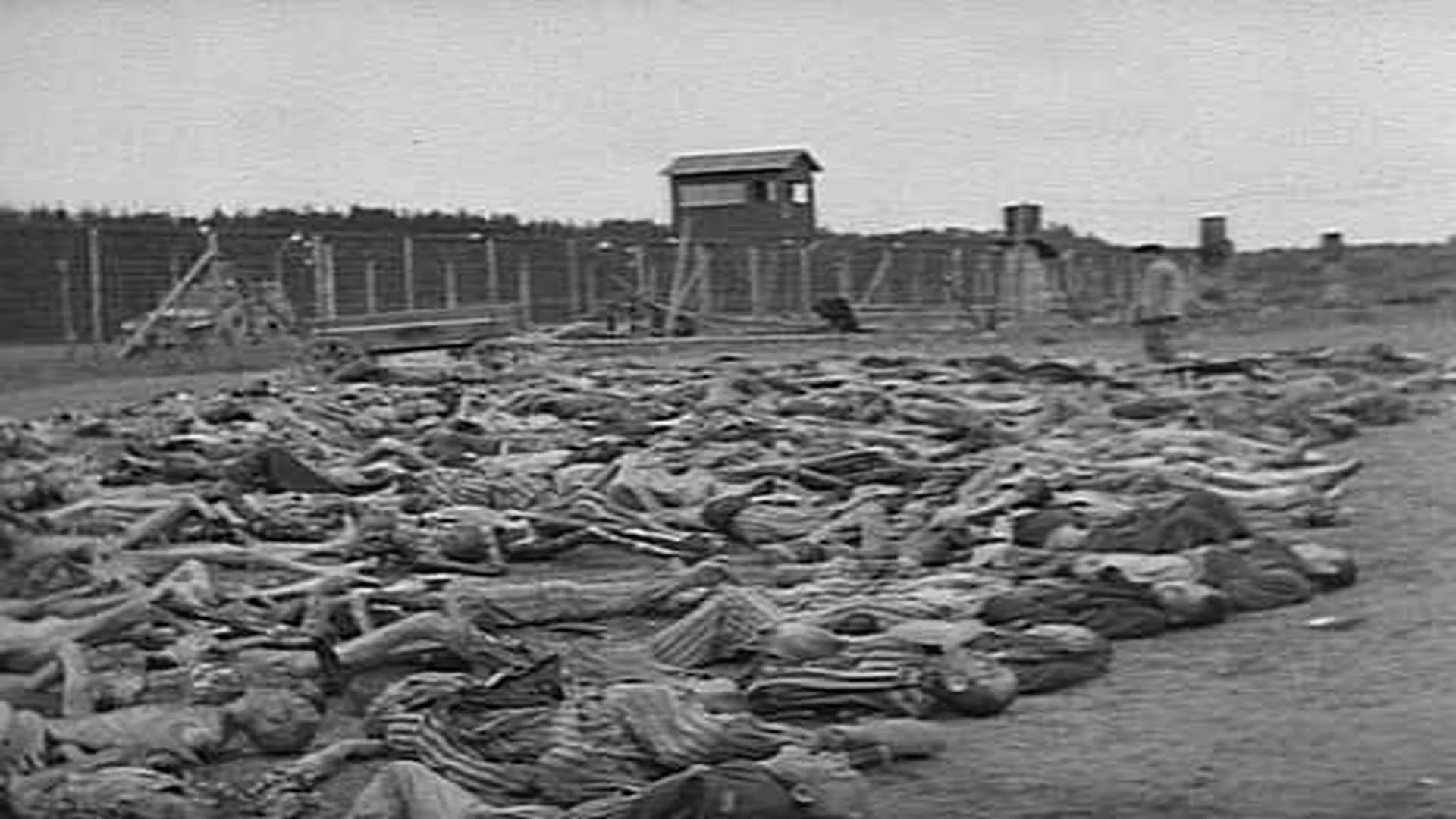 dead-bodies-tortured-jews-found-footage-086843154_prevstill.jpeg