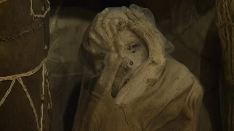 A dead body in a sac Stock Footage 110379151