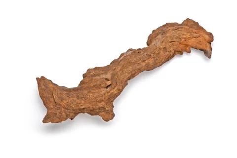 Dead branch or root isolated on white Stock Photos