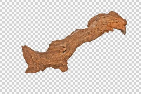 Dead branch or root isolated on white Stock Photos