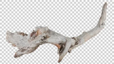Dead branch Stock Photos