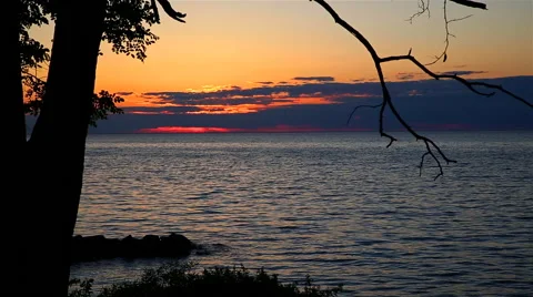 Dead Branch Sunset Stock Footage 57730013