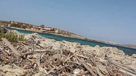 Dead Branches In Foreground Looking Out To Sea Video stock 36742594