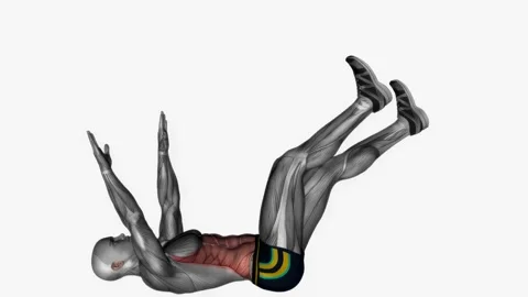 Dead bug fitness exercise workout animation video male muscle highlight 4K 60 f Stockbeeldmateriaal 229458669