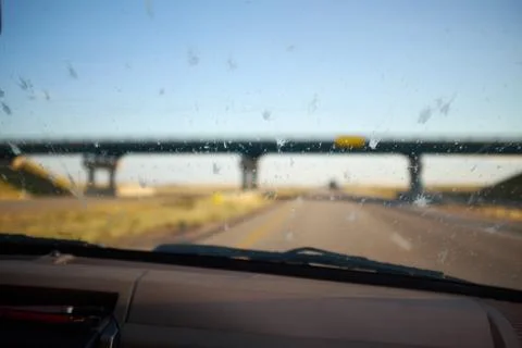 Dead bugs splattered on the windscreen of a car Foto stock