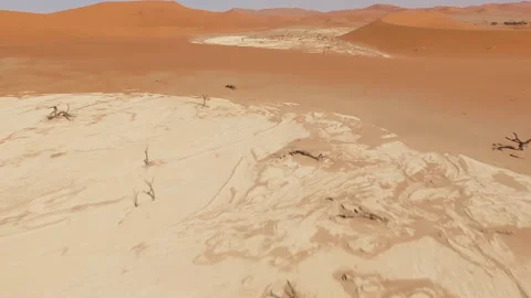 Dead Camelthorn Trees against red dunes and blue sky in Deadvlei Video stock 106962832