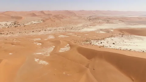Dead Camelthorn Trees against red dunes and blue sky in Deadvlei Stock Footage 107395350