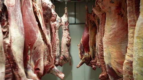 Metal meat hook or hangers in a row in a butchery slaughter house Stock  Photo