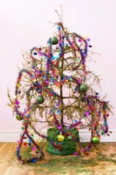 Dead christmas tree Stock Photos