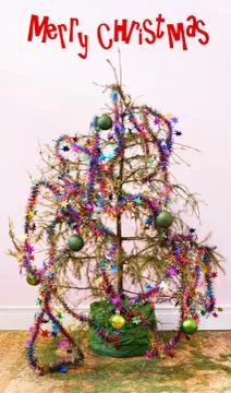 Dead christmas tree  Stock Photos