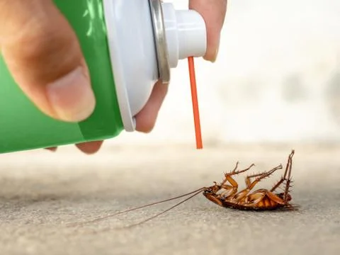 Dead cockroach on the floor Stock Photos