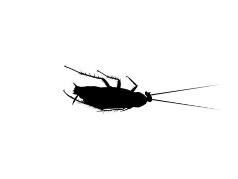 Dead Cockroach silhouette isolated, oval-shaped insect with long antennae Ilustración de archivo