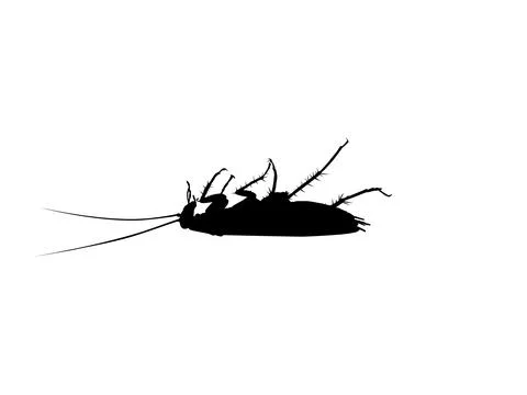 Dead Cockroach silhouette isolated, oval-shaped insect with long antennae Stock Illustration