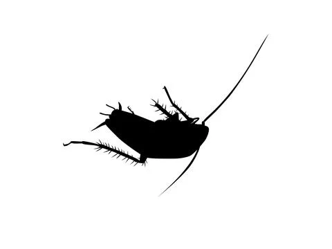 Dead Cockroach silhouette isolated, oval-shaped insect with long antennae Ilustración de archivo