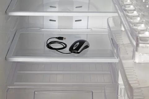 Dead computer mouse in an empty refrigerator. poverty and lack of food Stock Photos