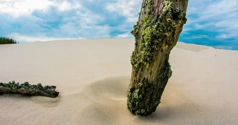 Dead Desert Timelapse 4k Stock Footage 51168652