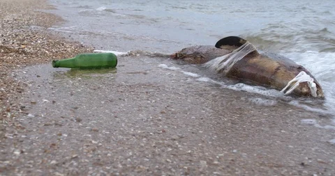 Dead dolphin at Polluted Waters . Sea pollution toxic plastic garbage. Stock Footage