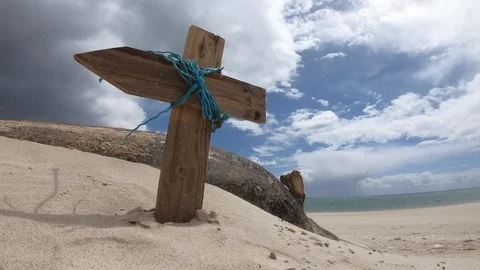Dead dolphin on the seashore. Fixed shot in a windy day Stock Footage 108374628