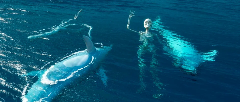 Dead dolphins and skeleton Stock Illustration