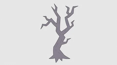 Dead dry tree Stock Footage 337807962