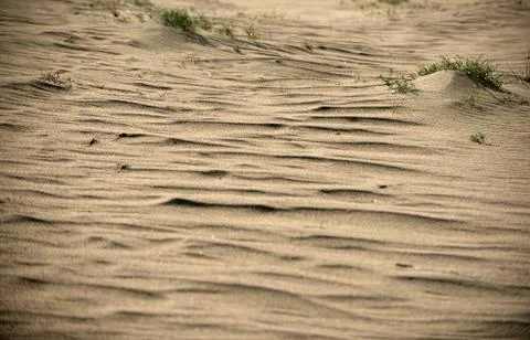 Dead Dunes in Neringa, Lithuania Stock Photos