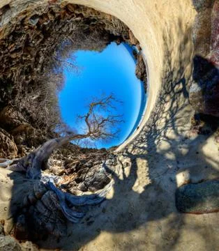 Dead Earth Stock Photos