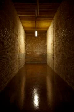 Dead end brick hall Foto stock