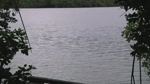 Dead end bridge at lake 库存影片 31490795