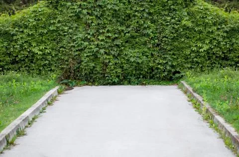 Dead End Road Stock Photos