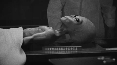 Dead extraterrestrial alien covered by a sheet on a table Stock Footage 224214021