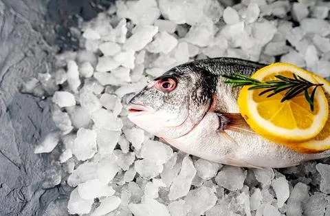 Dead fish on a bed of crushed ice with lemon slice Stock Photos